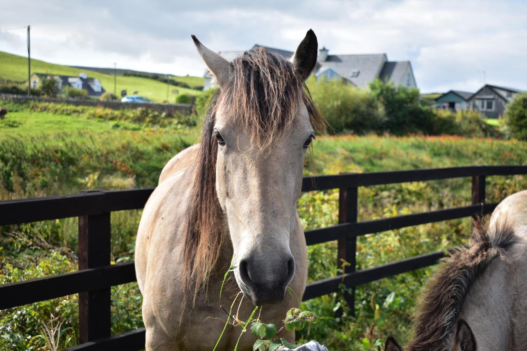 Doolin Glamping Exterior foto